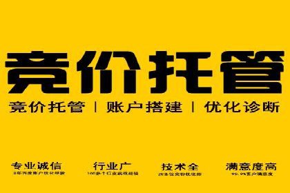 XX行业竞价广告的创意与执行：一则成功案例剖析